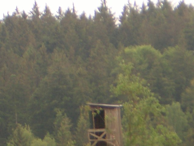 Bild 014 von 099 (Zeltlager bild)   klicken für nächstes Bild (Nr.: 15