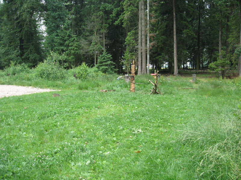 Bild 060 von 619 (Pfingsten bild)   klicken für nächstes Bild (Nr.: 61