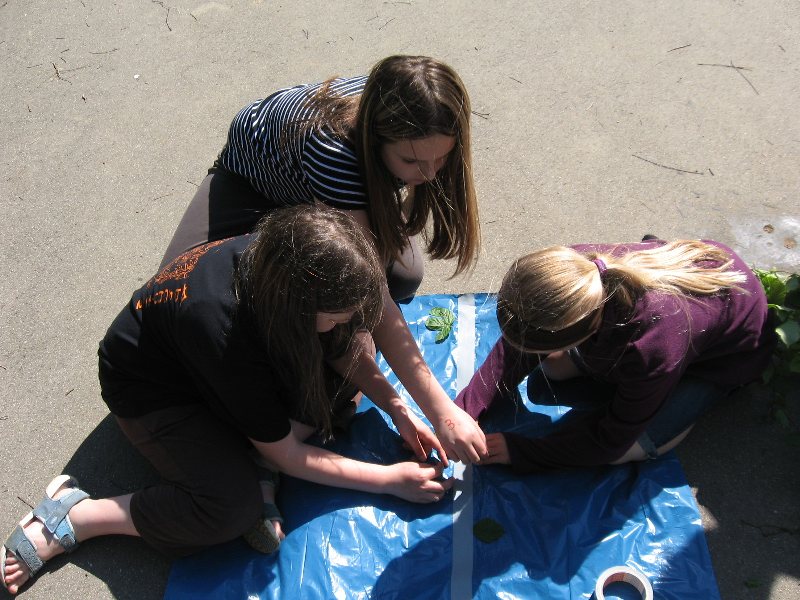 Bild 086 von 436 (Pfingstfreizeit08 bild)   klicken für nächstes Bild (Nr.: 87