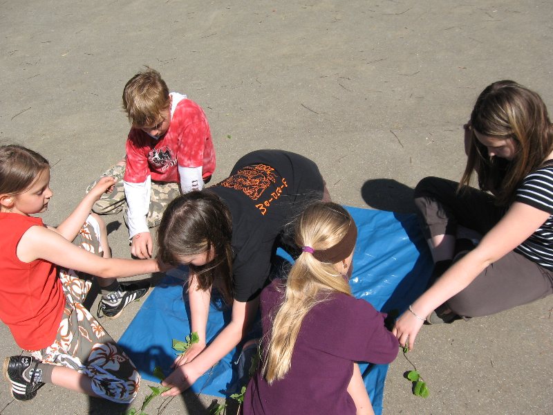 Bild 089 von 436 (Pfingstfreizeit08 bild)   klicken für nächstes Bild (Nr.: 90