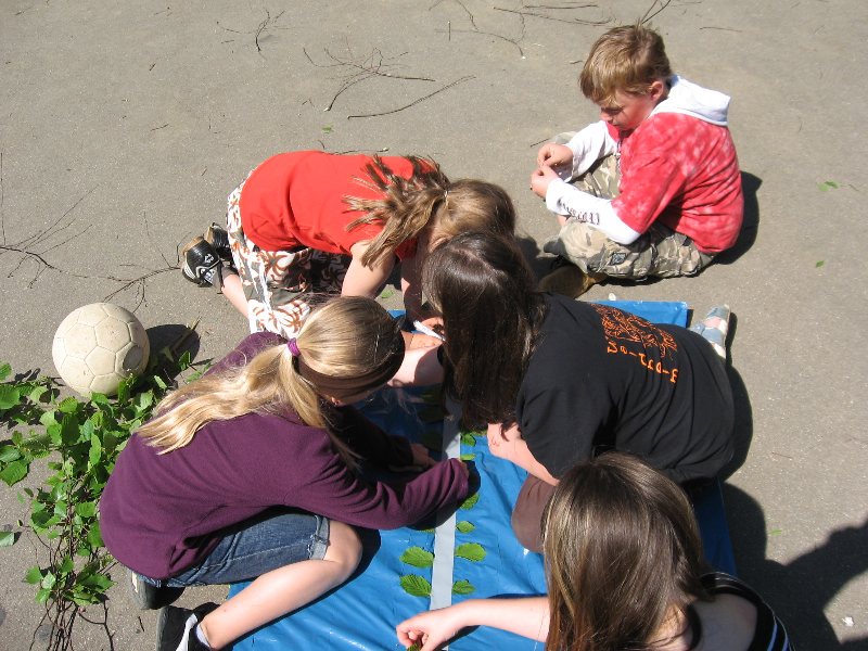 Bild 090 von 436 (Pfingstfreizeit08 bild)   klicken für nächstes Bild (Nr.: 91