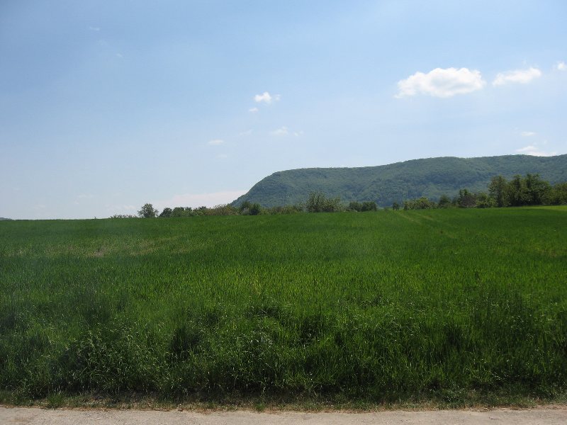 Bild 143 von 436 (Pfingstfreizeit08 bild)   klicken für nächstes Bild (Nr.: 144