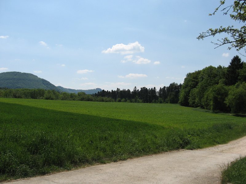 Bild 144 von 436 (Pfingstfreizeit08 bild)   klicken für nächstes Bild (Nr.: 145