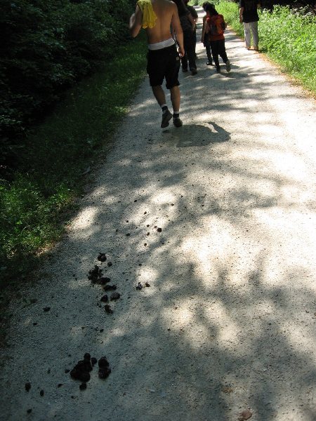 Bild 148 von 436 (Pfingstfreizeit08 bild)   klicken für nächstes Bild (Nr.: 149