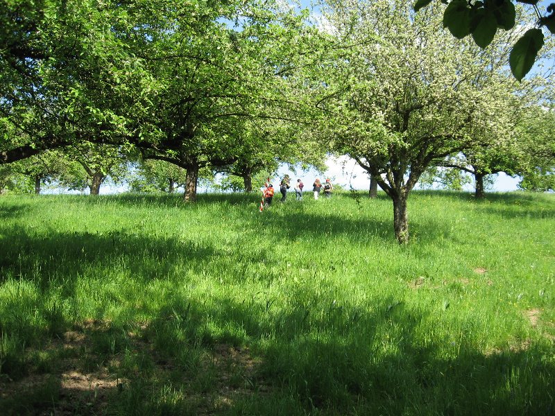 Bild&nbsp;166&nbsp;von&nbsp;436&nbsp;(Pfingstfreizeit08&nbsp;bild) &nbsp; klicken f&uuml;r n&auml;chstes Bild (Nr.: 167