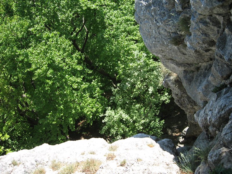 Bild&nbsp;289&nbsp;von&nbsp;436&nbsp;(Pfingstfreizeit08&nbsp;bild) &nbsp; klicken f&uuml;r n&auml;chstes Bild (Nr.: 290