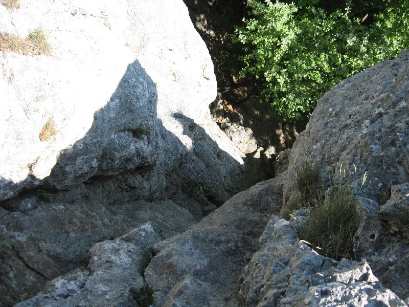 Bild&nbsp;294&nbsp;von&nbsp;436&nbsp;(Pfingstfreizeit08&nbsp;bild) &nbsp; klicken f&uuml;r n&auml;chstes Bild (Nr.: 295