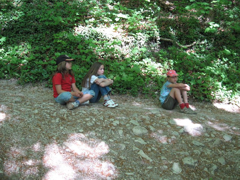 Bild&nbsp;295&nbsp;von&nbsp;436&nbsp;(Pfingstfreizeit08&nbsp;bild) &nbsp; klicken f&uuml;r n&auml;chstes Bild (Nr.: 296