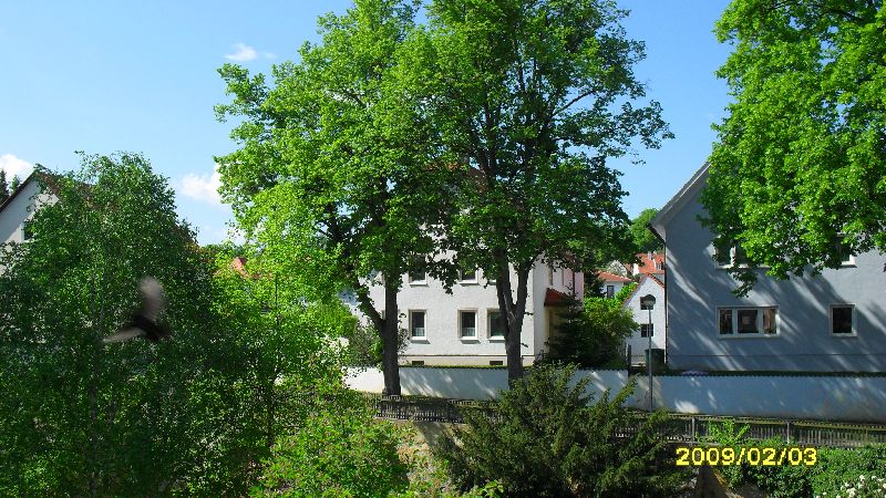 Bild 020 von 157 (Freizeit2010 bild)   klicken für nächstes Bild (Nr.: 21