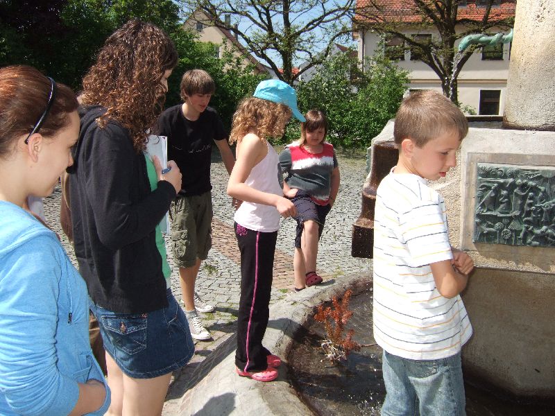 Bild 124 von 157 (Freizeit2010 bild)   klicken für nächstes Bild (Nr.: 125