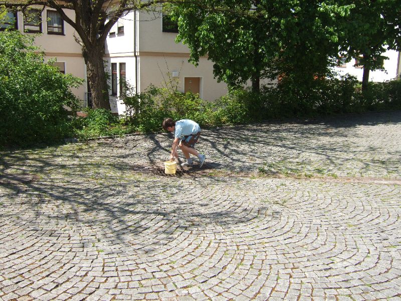Bild 144 von 157 (Freizeit2010 bild)   klicken für nächstes Bild (Nr.: 145